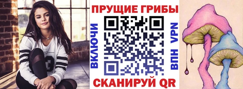 Купить  Приозерск  Галлюциногенные грибы Cubensis 